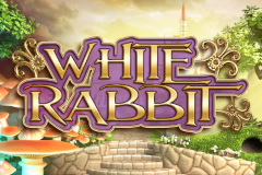 white rabbit スロット